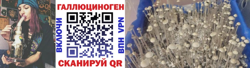 Псилоцибиновые грибы Magic Shrooms  Купить  Ярцево 